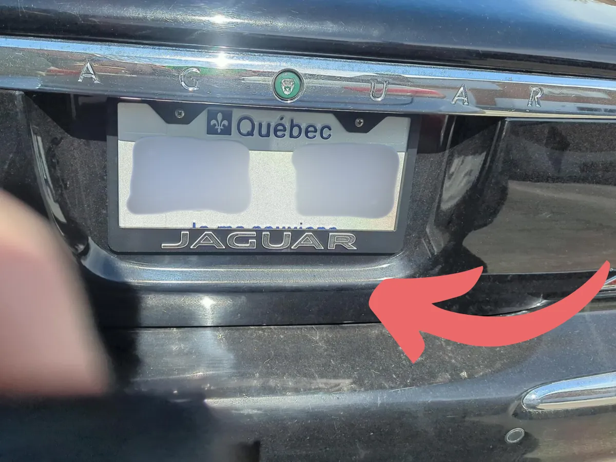 License Plate Frame/Cover for Jaguar