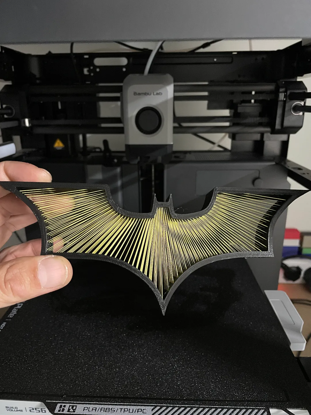 BatString, photo 2 of 2 - BatString Art