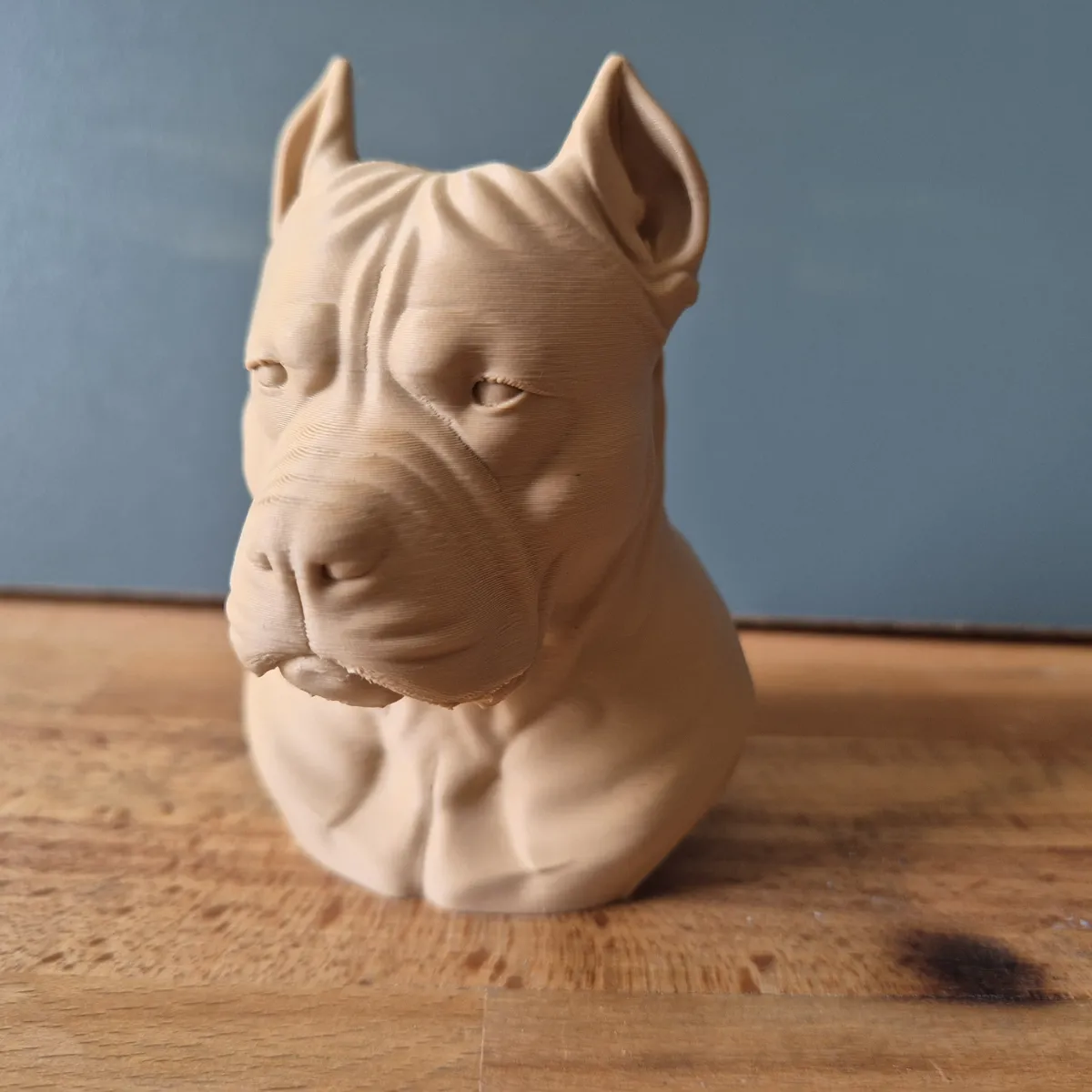 Pitbull terrier Bust, Realistic Dog Sculpture, photo 3 of 3 - Pitbull terrier Bust, Realistic Dog Sculpture Home Decor Items