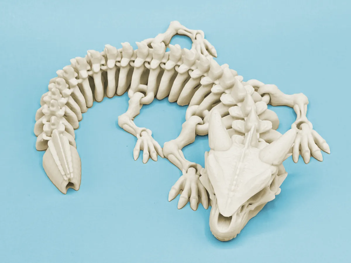 Articulated long skeleton dragon, photo 3 of 3 - Articulated long skeleton dragon Fidget & Sensory Toys