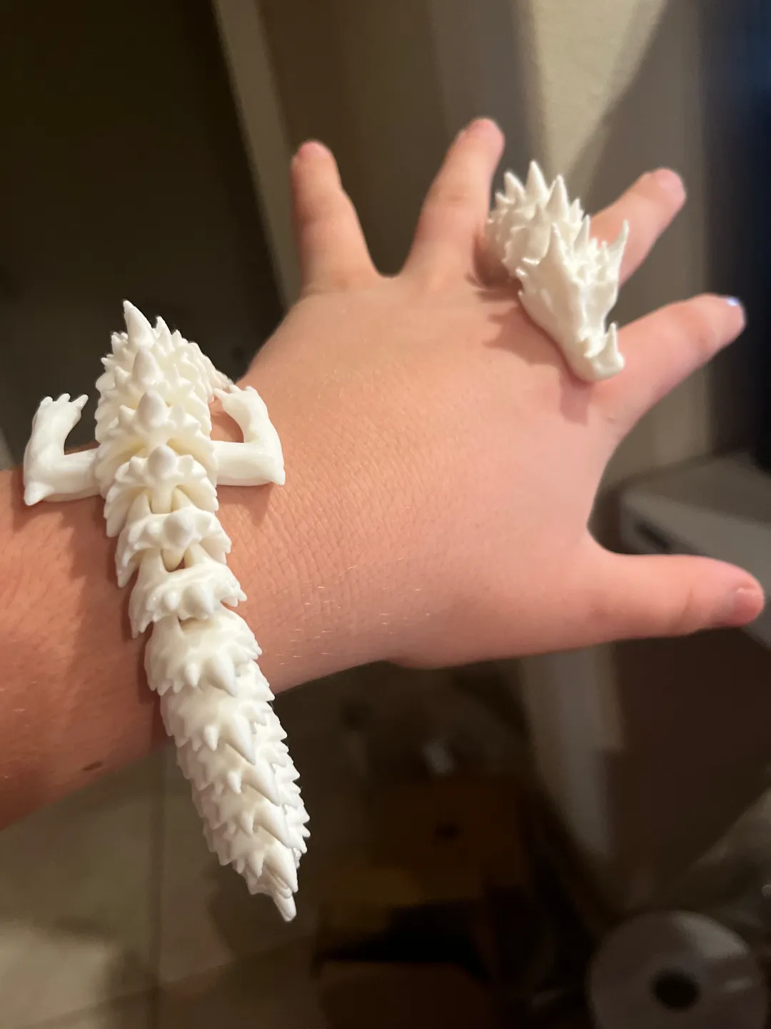 spiny articulated dragon