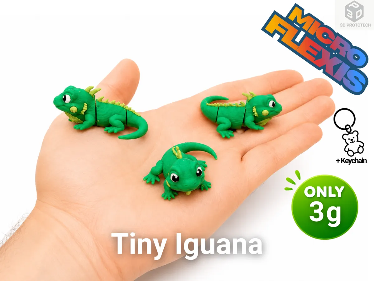 Tiny Iguana