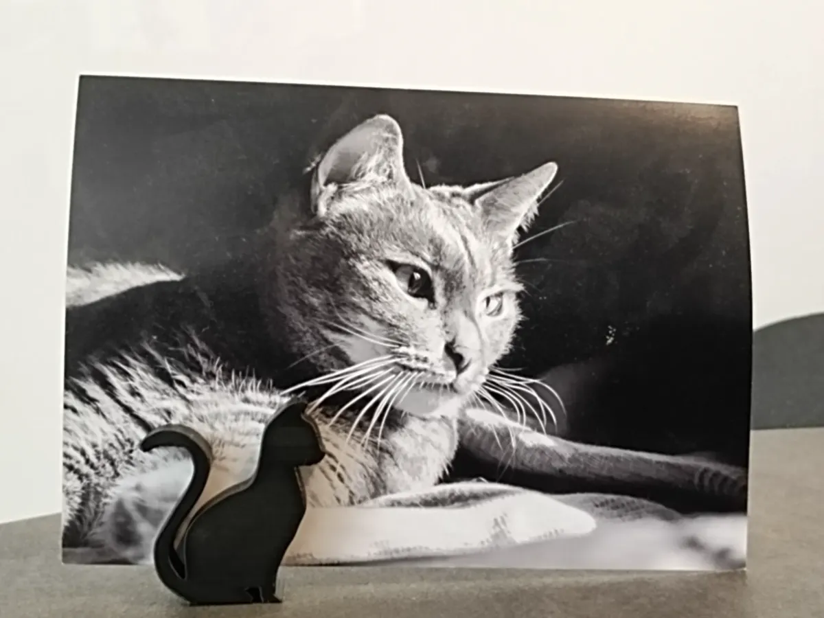 Cat and Dog Photo frame holders - Decor, in stock in India