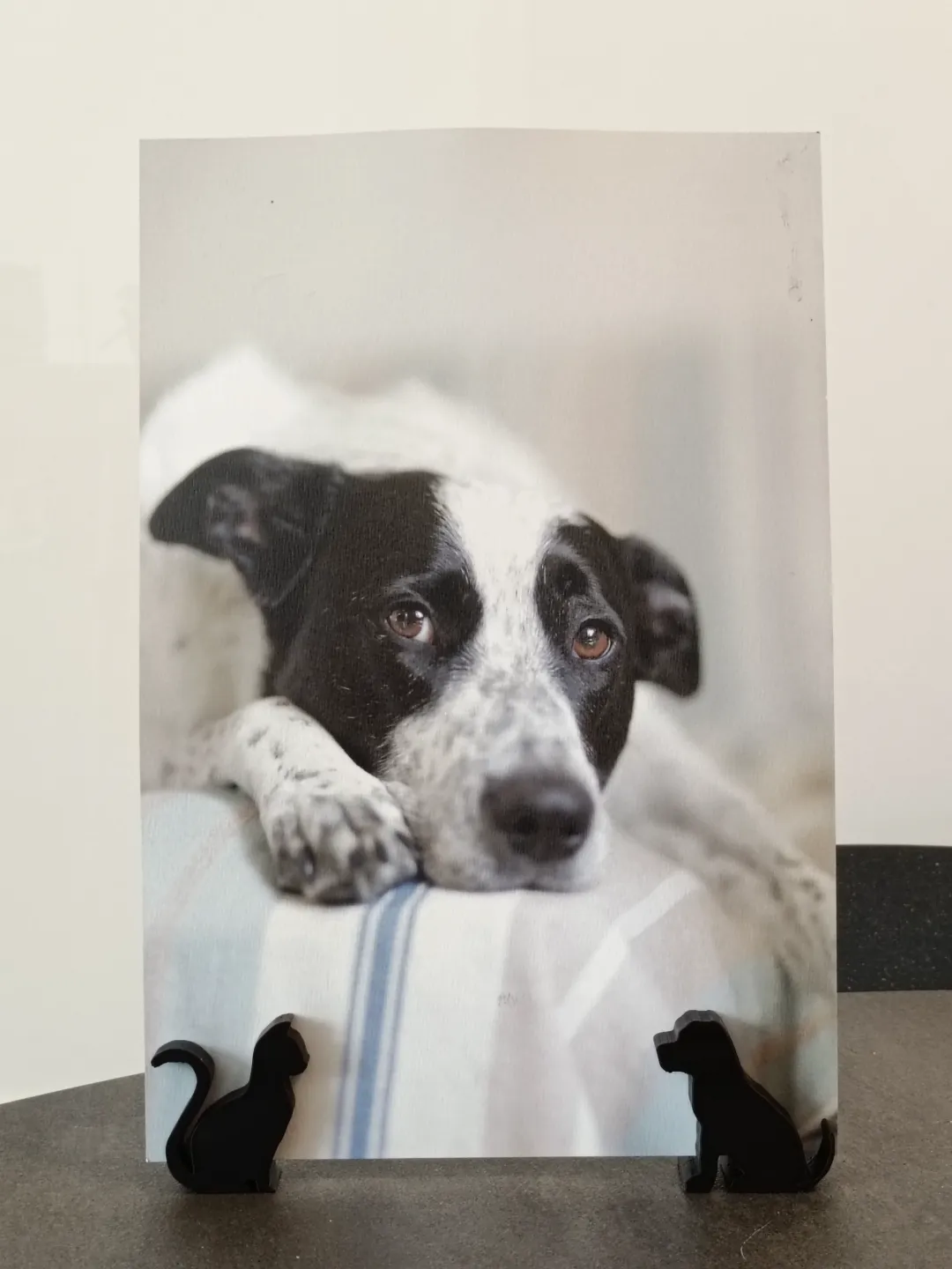 Cat and Dog Photo frame holders, photo 4 of 4 - Cat and Dog Photo frame holders Household