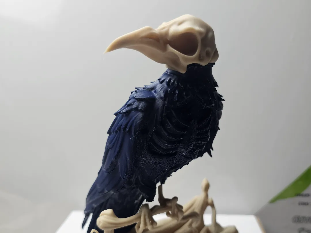 Bone Crow