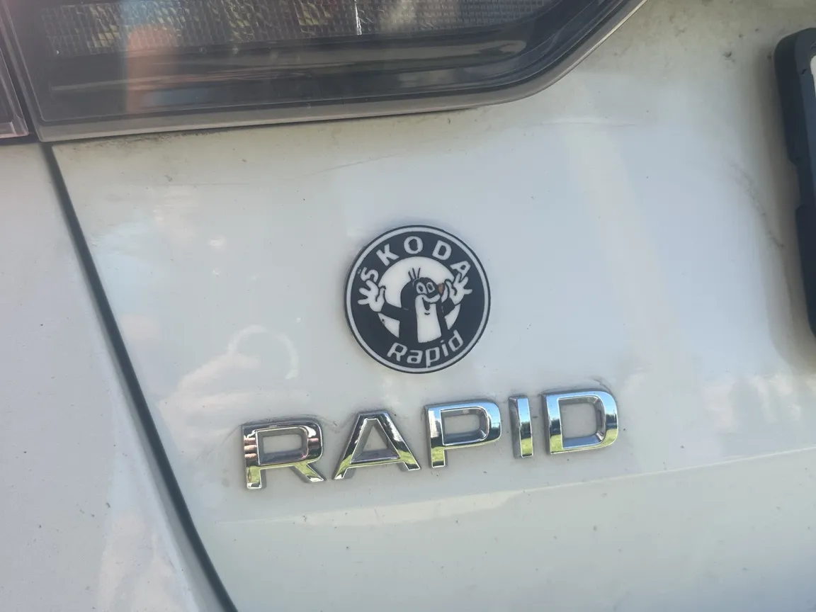 Badge on a skoda car - Jewelry, in stock in India