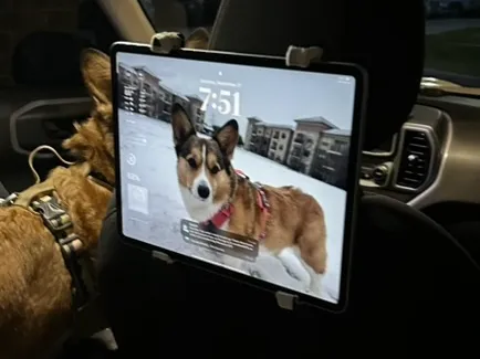 iPad Air 13in (M2) Carseat Headrest Mount - Electronics, in stock in India