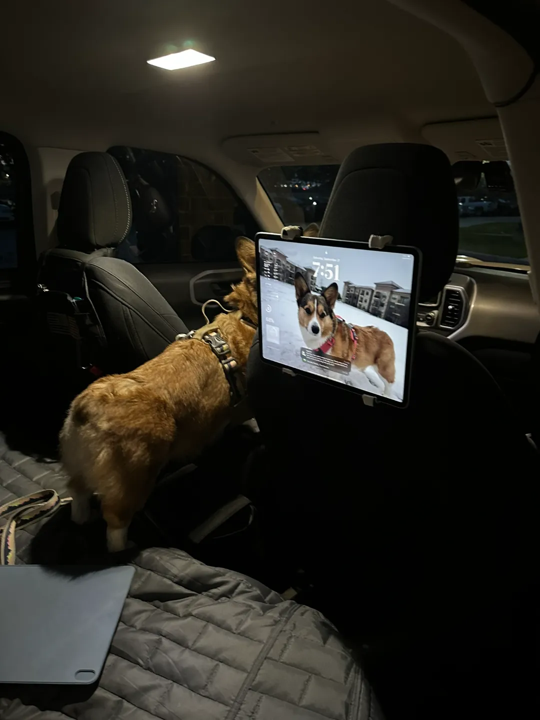 iPad Air 13in (M2) Carseat Headrest Mount, photo 2 of 4 - iPad Air 13in (M2) Carseat Headrest Mount Hobby & DIY