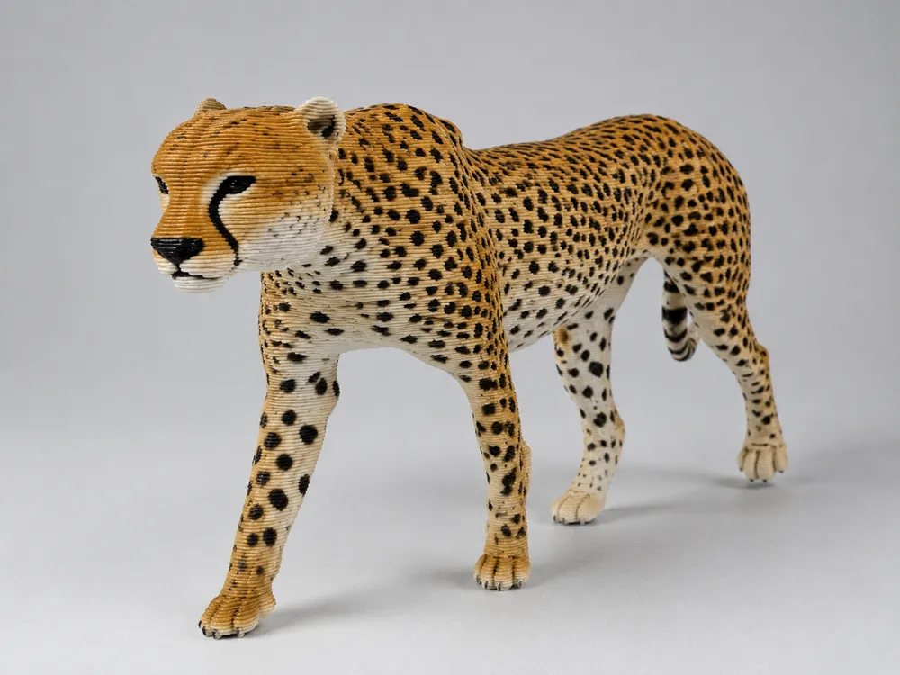 cheetah model, photo 2 of 3 - cheetah model Art