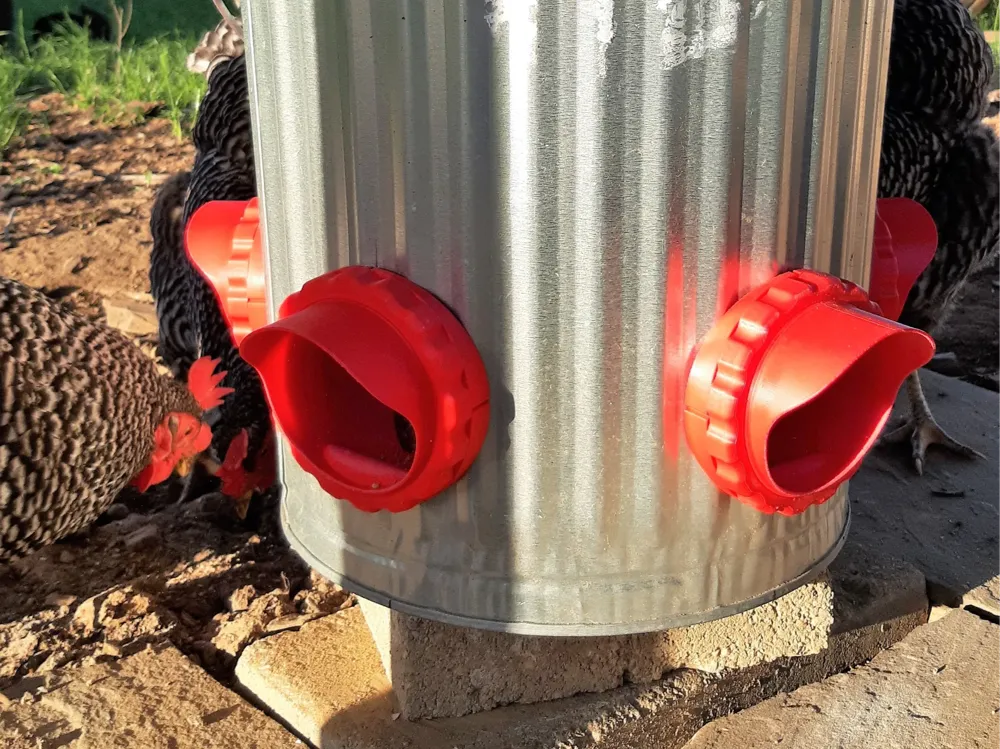 Chicken/ duck feeder