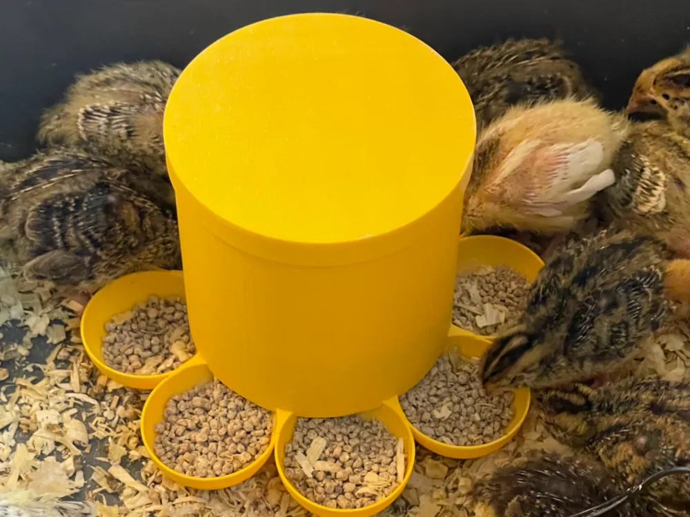 Chicken Hen feeder Large