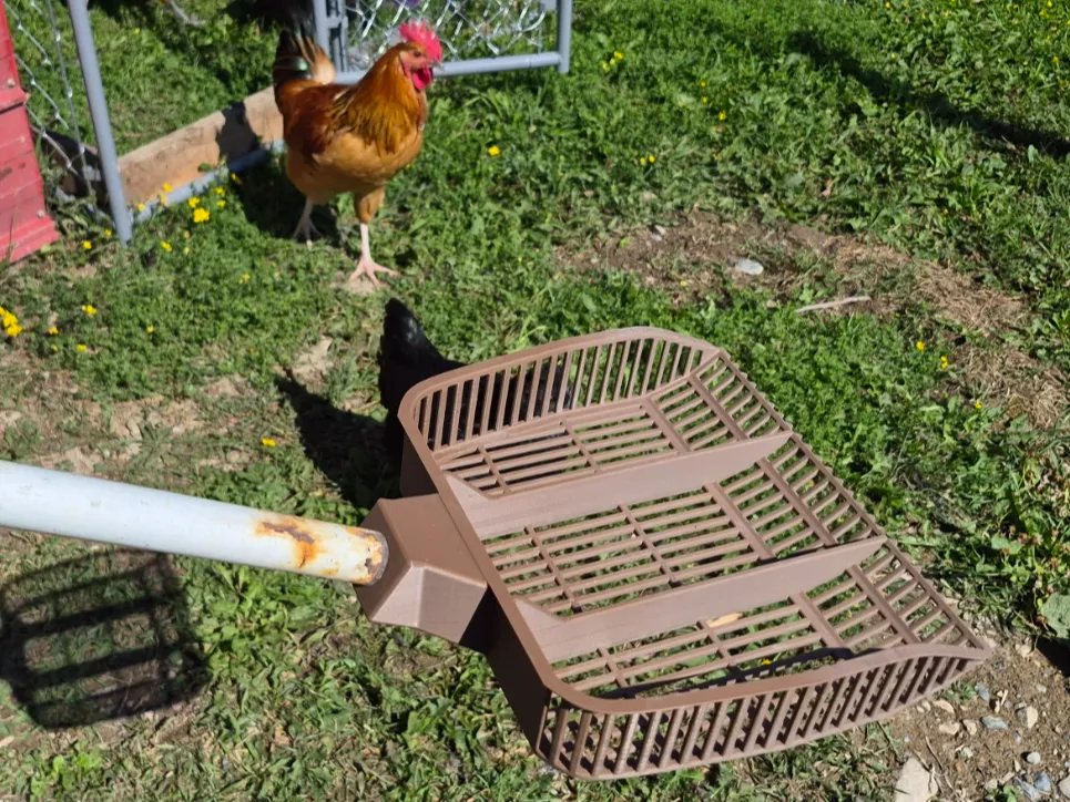 Chicken Poop Scoop - Sand Filter Shovel