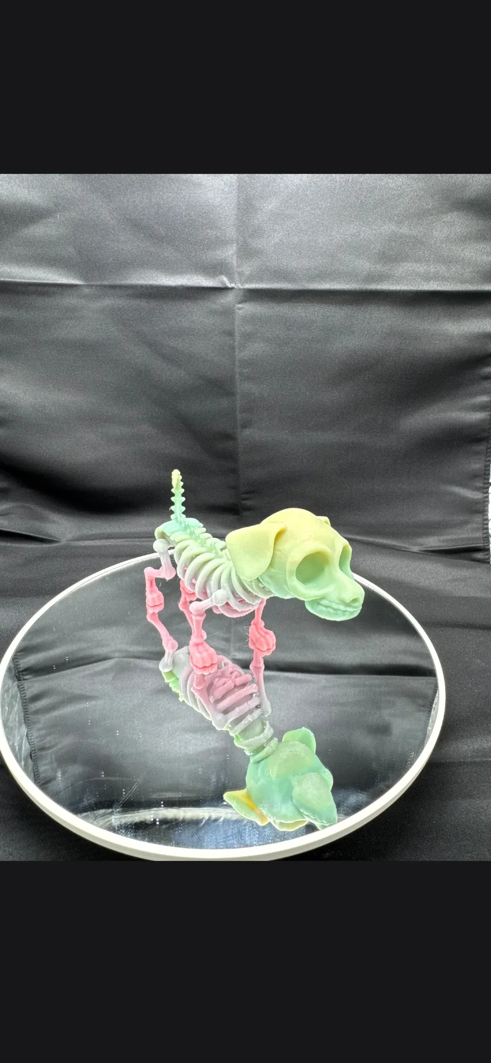 Chill Skeleton Jack and Zero Figure, photo 4 of 5 - Skulls & Skeletons, before