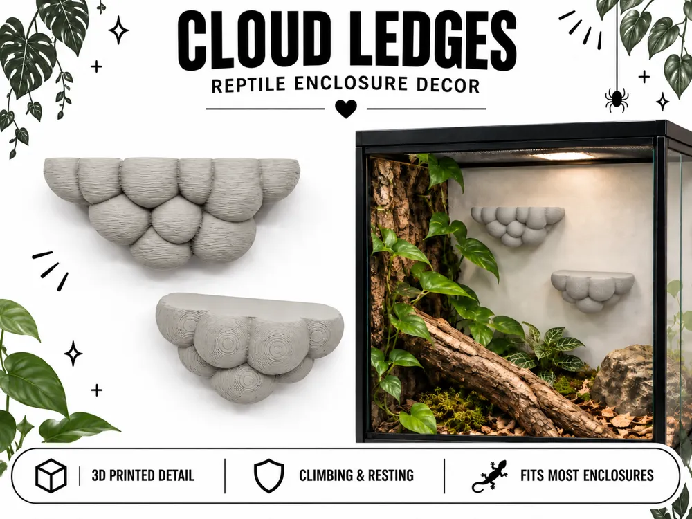 Cloud Ledge Reptile Climbing Platform Set
