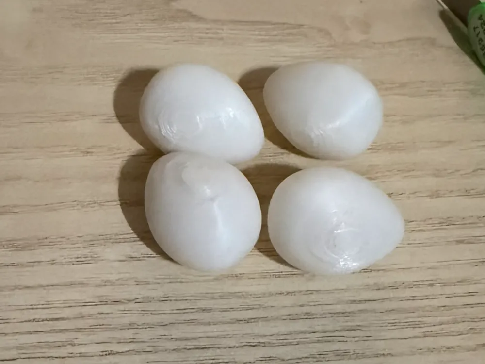Cockatiel Nesting Eggs