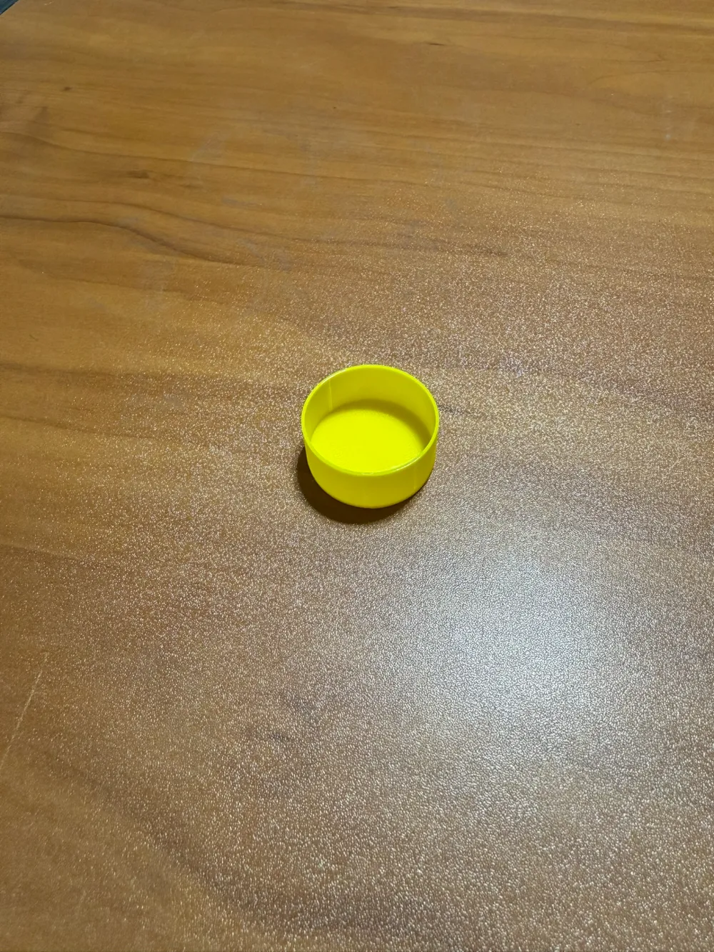 Cricket Keeper Tube Cap, photo 2 of 4 - Cricket Keeper Tube Cap Household