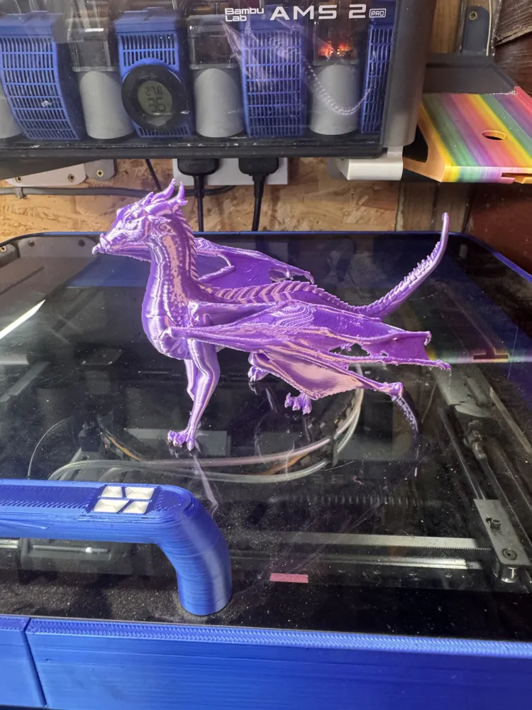 Crimson Violet Dragon, photo 2 of 4 - Crimson Violet Dragon Art