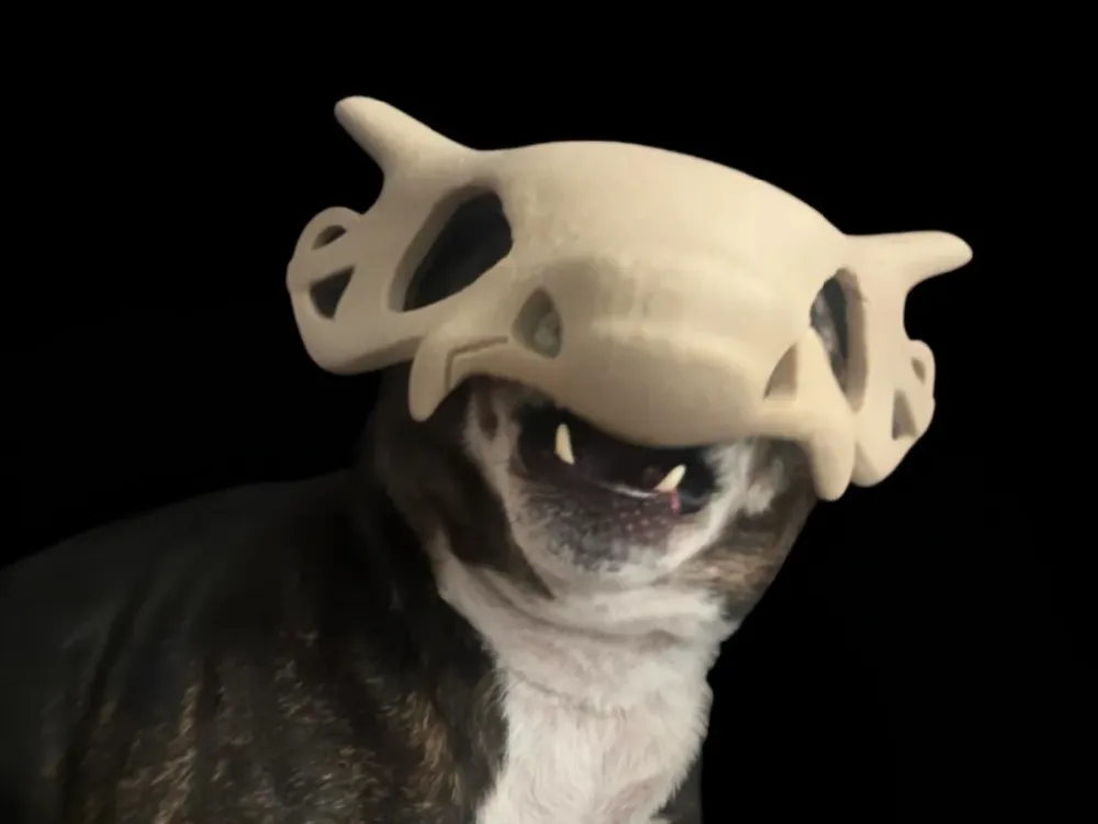 cubone dog mask animal