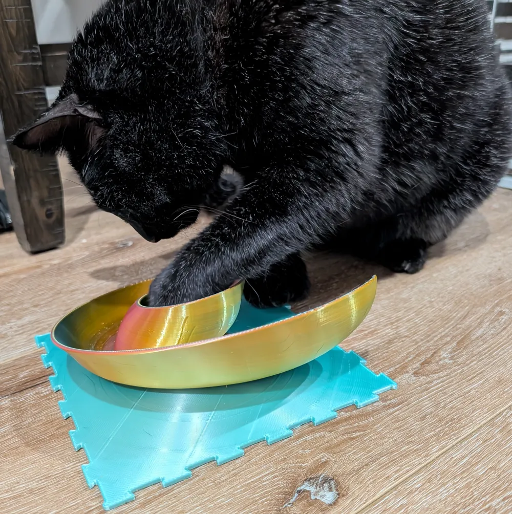 Curious Paws- Nautilus Puzzle, photo 4 of 4 - Curious Paws- Nautilus Puzzle Pets