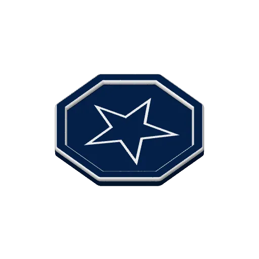 Custom Dallas Cowboys Trophy, photo 4 of 4 - Custom Dallas Cowboys Trophy Gifts & Occasions