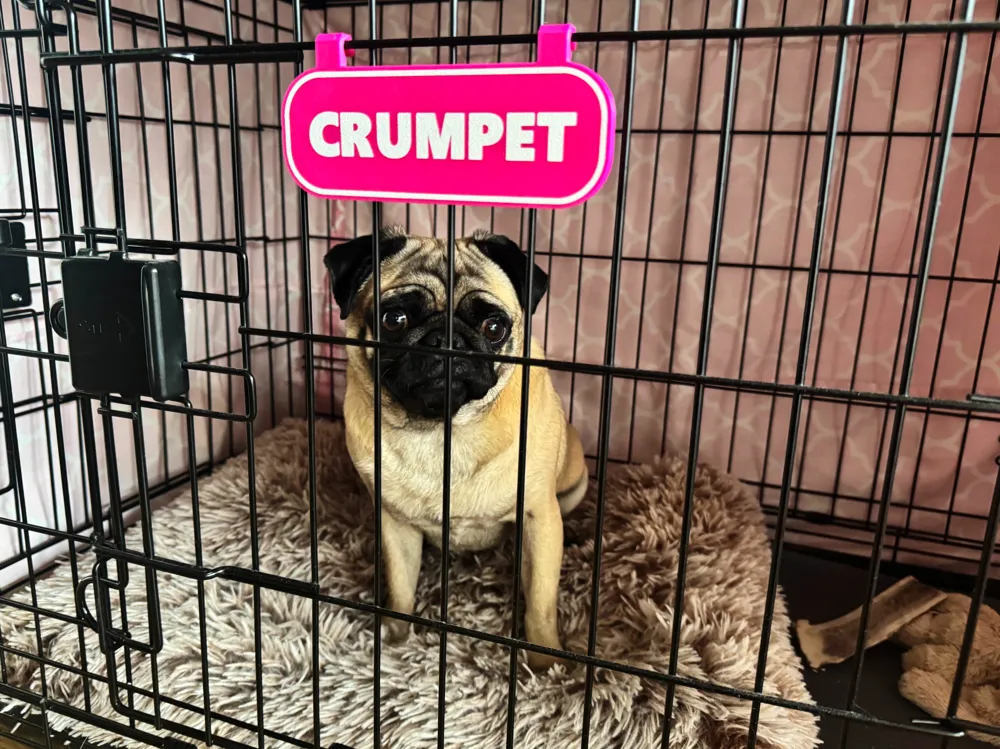 Customizable, Simple dog crate name sign, photo 3 of 4 - Pet ID & Name Tags, carrier