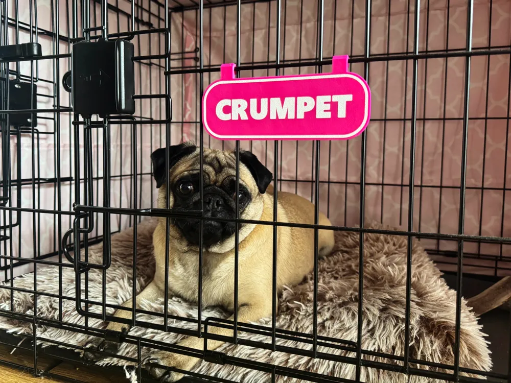 Customizable, Simple dog crate name sign, photo 4 of 4 - Pet ID & Name Tags, pet