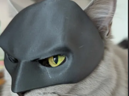 Cute Bat cat mask