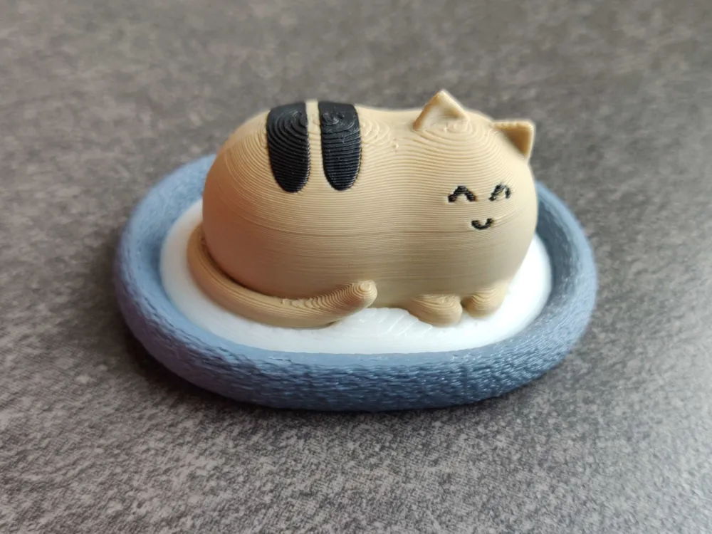 Cute Cat with Bed