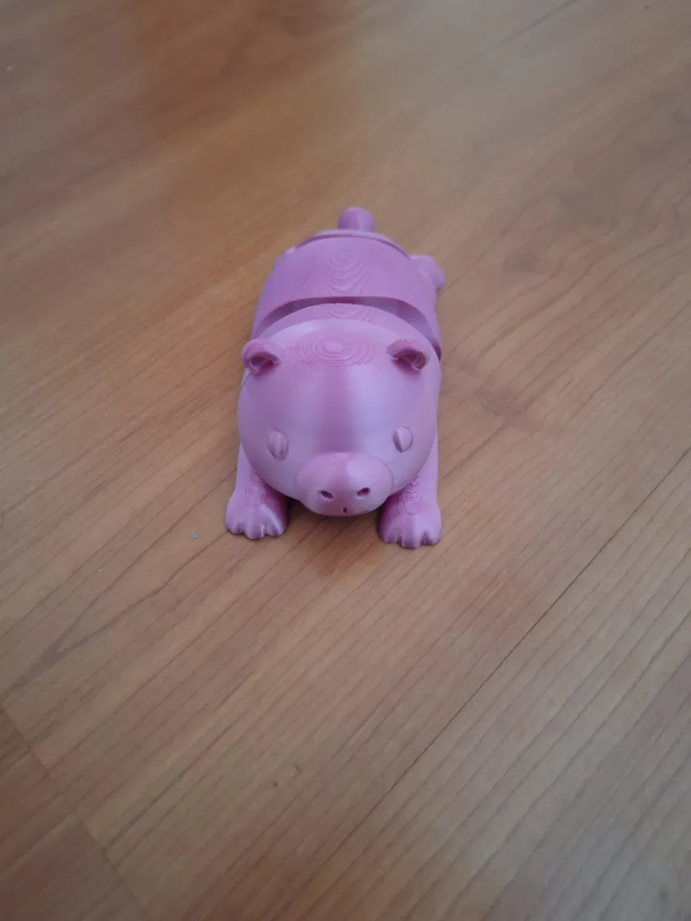 Cute Flexi Capybara, photo 4 of 4 - Cute Flexi Capybara Toys & Games