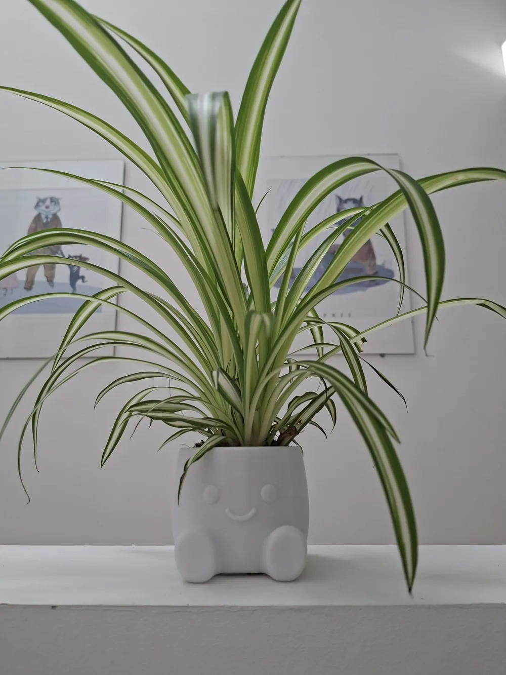 Cute Plant Buddy | Desk Decor Planter, photo 2 of 4 - Cute Plant Buddy | Desk Decor Planter Garden & Outdoor