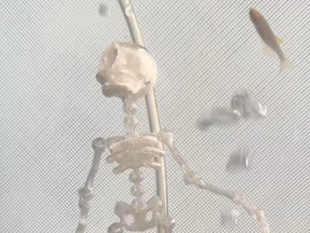 Dancing Articulated Skeleton Aquarium Decor, photo 2 of 4 - Aquarium Decor, Caves & Hides, flexi