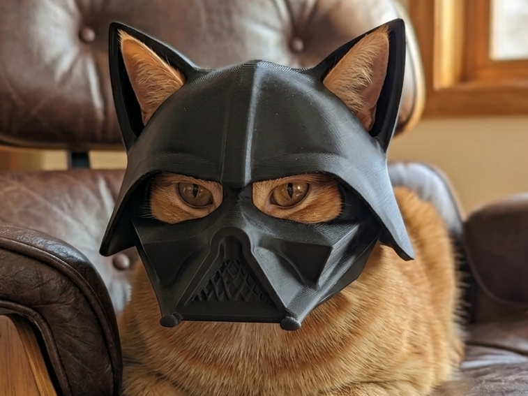 Darth Vader style cat helmet!!