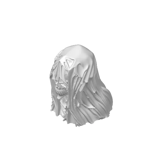Death Shroud Skull - Halloween, photo 4 of 4 - Death Shroud Skull - Halloween Art