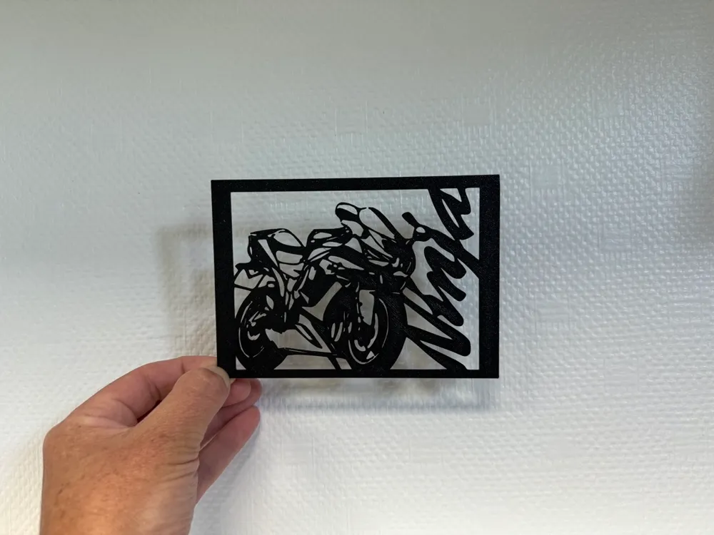 Decor Kawasaki ZXR Ninja, photo 2 of 4 - Bike & Scooty Accessories, wall