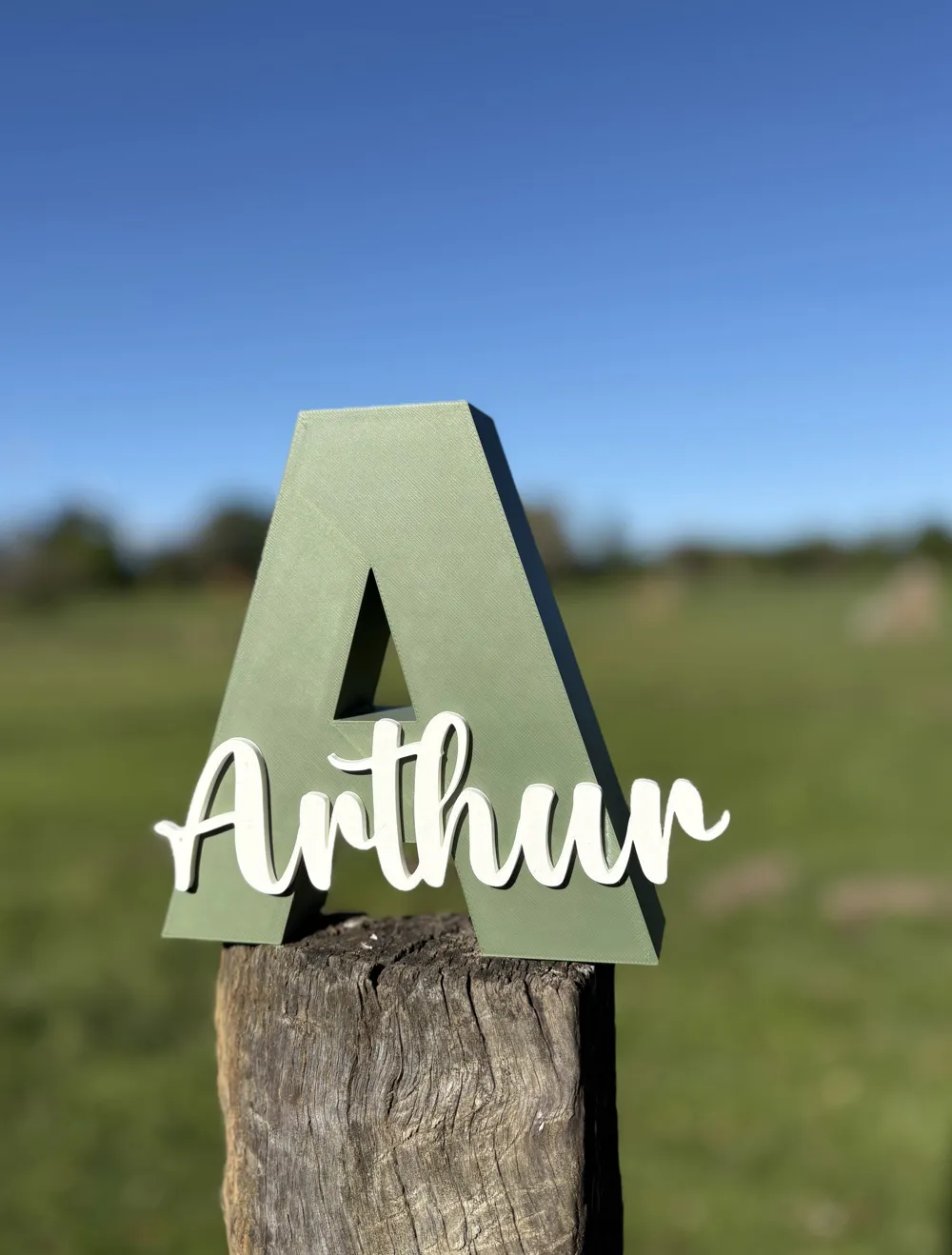 Decorative Name Sign - Customizable, photo 2 of 4 - Custom & Name Signs, Home Decor Items