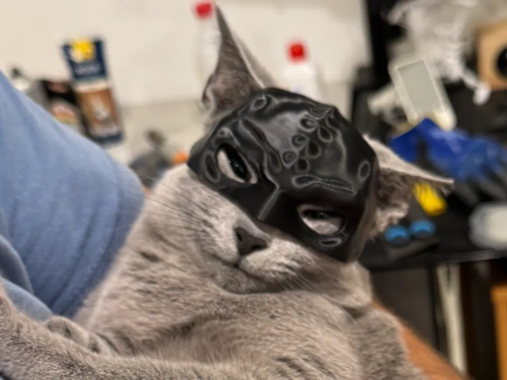 Demon Cat mask