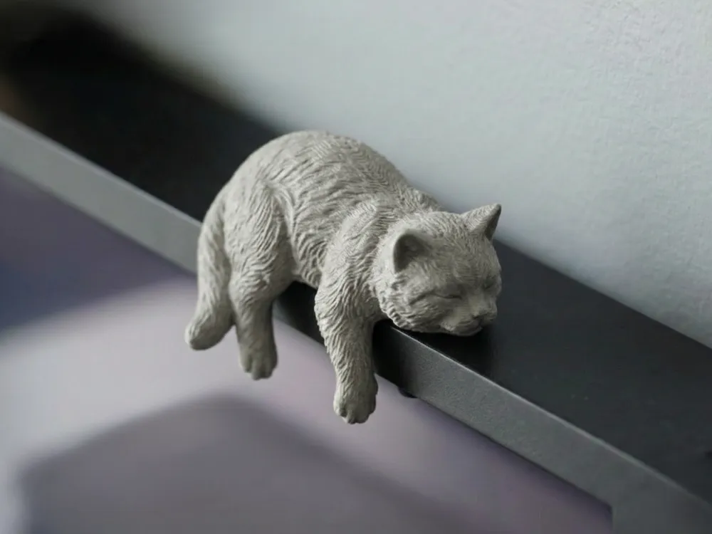 (DESCRIPTION!) Sleeping Cat Monitor Buddy