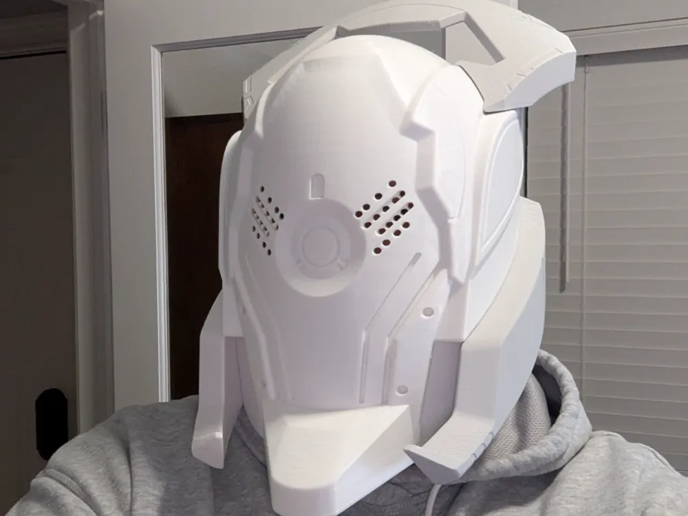 Destiny Helmet Inspired / Kabr's Battlecage