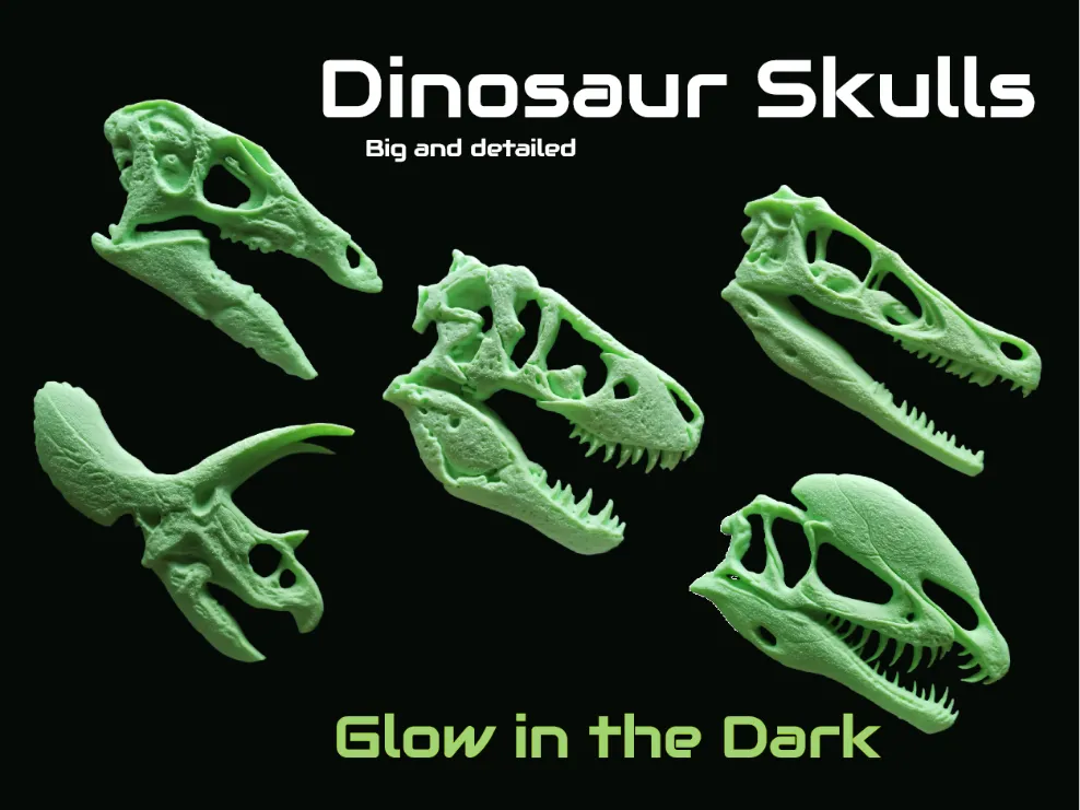 Detailed Dinosaur Skulls (Glow in the Dark PLA)