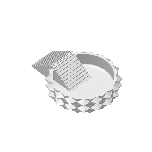 Diamond-shaped feeding bowl with stairs for isopod, photo 4 of 4 - Diamond-shaped feeding bowl with stairs for isopod Pets