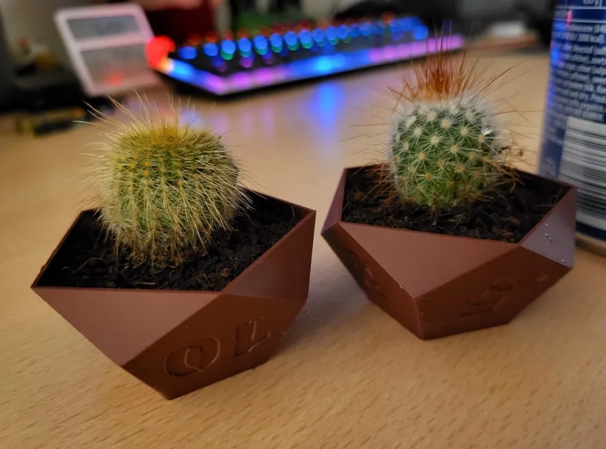 Dice planter set (RPG tabletop games), photo 2 of 4 - Dice, pot