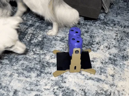 Dinner Spinner - A Dog Food Puzzle Toy, photo 3 of 4 - Dinner Spinner - A Dog Food Puzzle Toy Pets