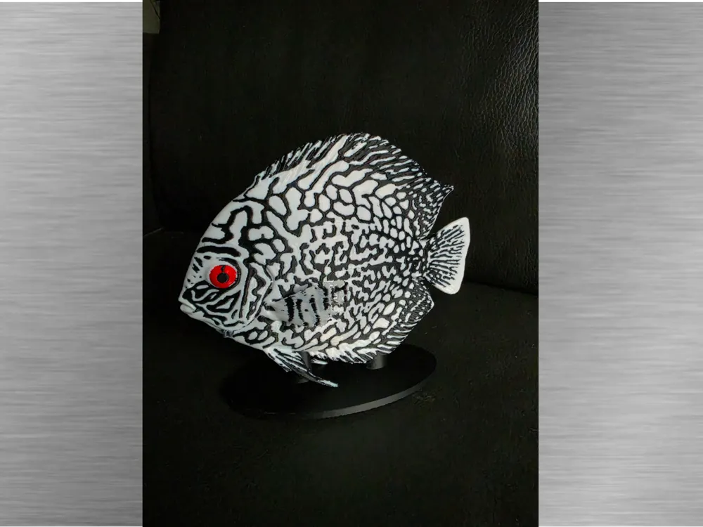 Discus -Black variant-Ultra-realistic figure, photo 2 of 4 - Discus -Black variant-Ultra-realistic figure Miniatures