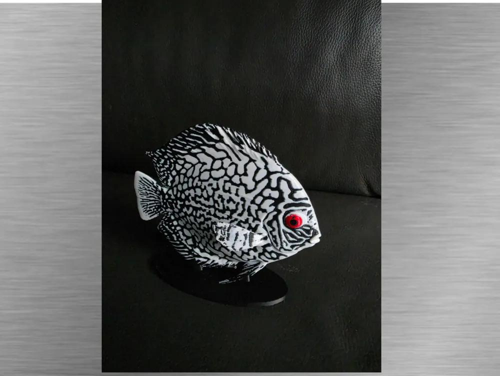 Discus -Black variant-Ultra-realistic figure, photo 3 of 4 - Discus -Black variant-Ultra-realistic figure Miniatures