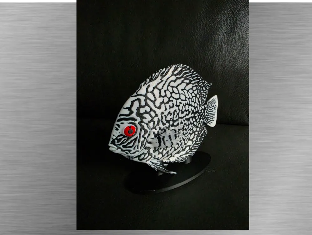 Discus -Black variant-Ultra-realistic figure, photo 4 of 4 - Discus -Black variant-Ultra-realistic figure Miniatures