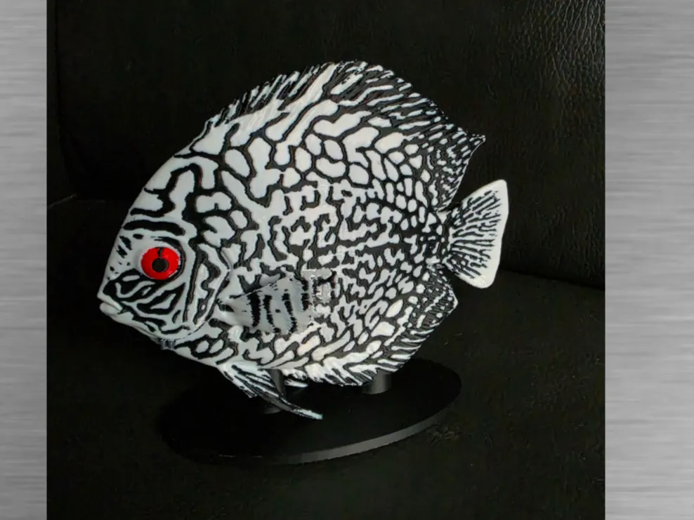 Discus -Black variant-Ultra-realistic figure - Animals, in stock in India