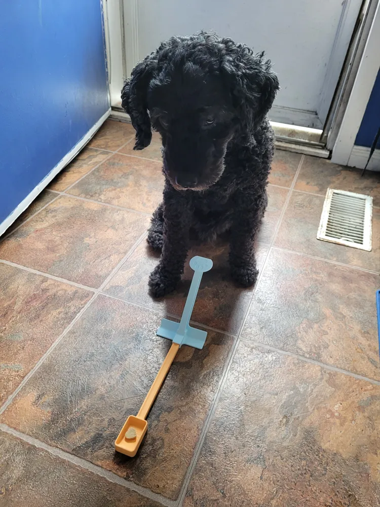 Dog-a-pult Treat Launcher, photo 4 of 4 - Dog-a-pult Treat Launcher Pets