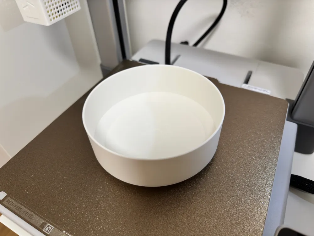 Dog Bowl Modern Clear Design
