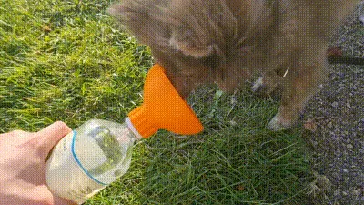 Dog Bowl - Portable PET-bottle Adapter - Bowls & Slow Feeders, in stock