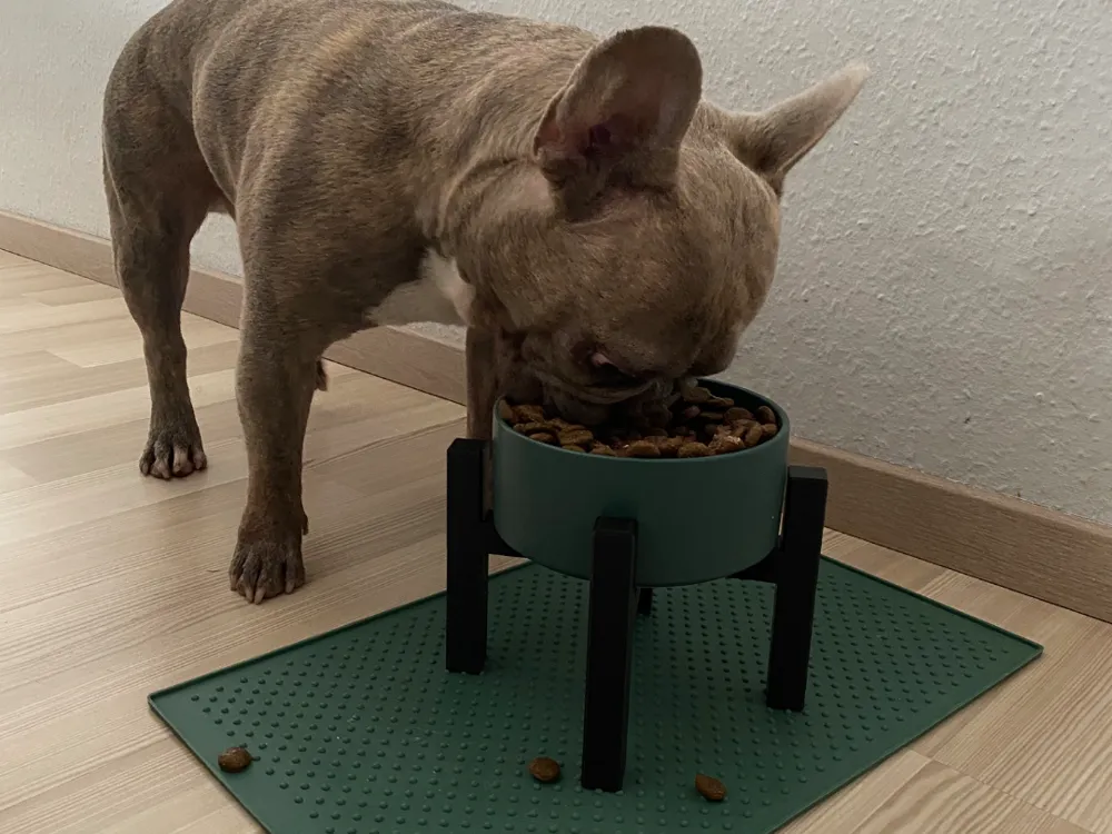 Fressnapferhöhung Dog Bowl Riser Bulldog, photo 3 of 4 - Fressnapferhöhung Dog Bowl Riser Bulldog Pets